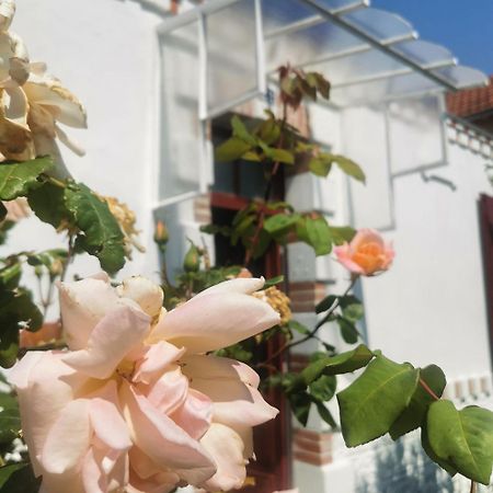 Au Coin Fleuri Villa La Bernerie-en-Retz Eksteriør billede