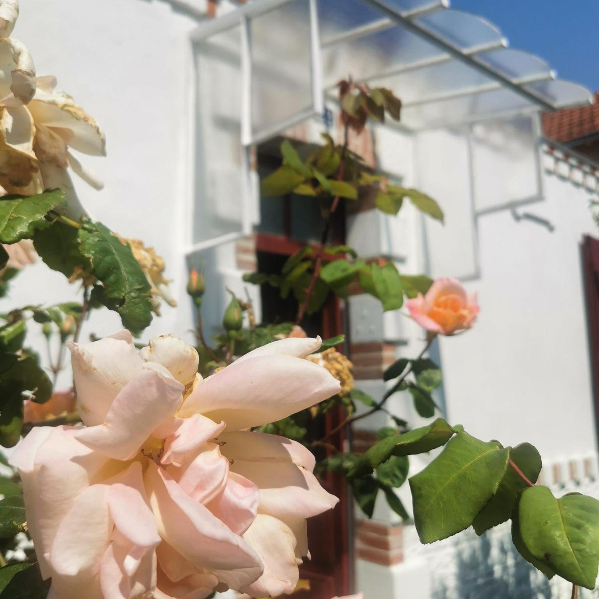 Au Coin Fleuri Villa La Bernerie-en-Retz Eksteriør billede